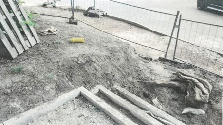 Teren po przycięciu i zabezpieczenia korzeni ziemią urodzajną